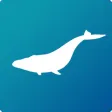 Blue Whale AR Encounter Blue Whale AR Encounter