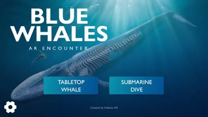 صور Blue Whale AR Encounter