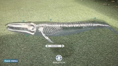 صور Blue Whale AR Encounter