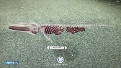صور Blue Whale AR Encounter