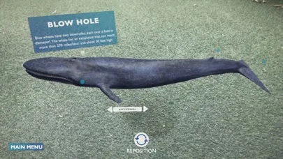 صور Blue Whale AR Encounter
