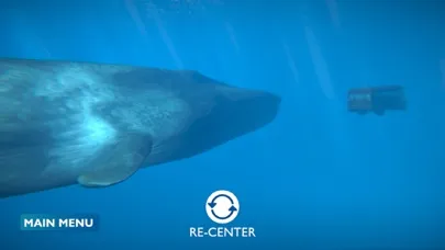 صور Blue Whale AR Encounter