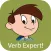 Verb Expert!  Skill Building Practice for Past, Present, Future & Present Progressive Tense