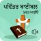 Holy Bible In Punjabi