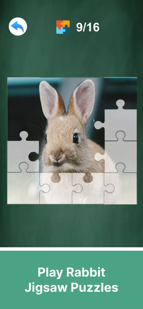 Adopt A Rabbit : Virtual Pet स्क्रीनशॉट