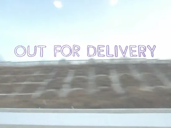 Out For Delivery iPad 应用截图