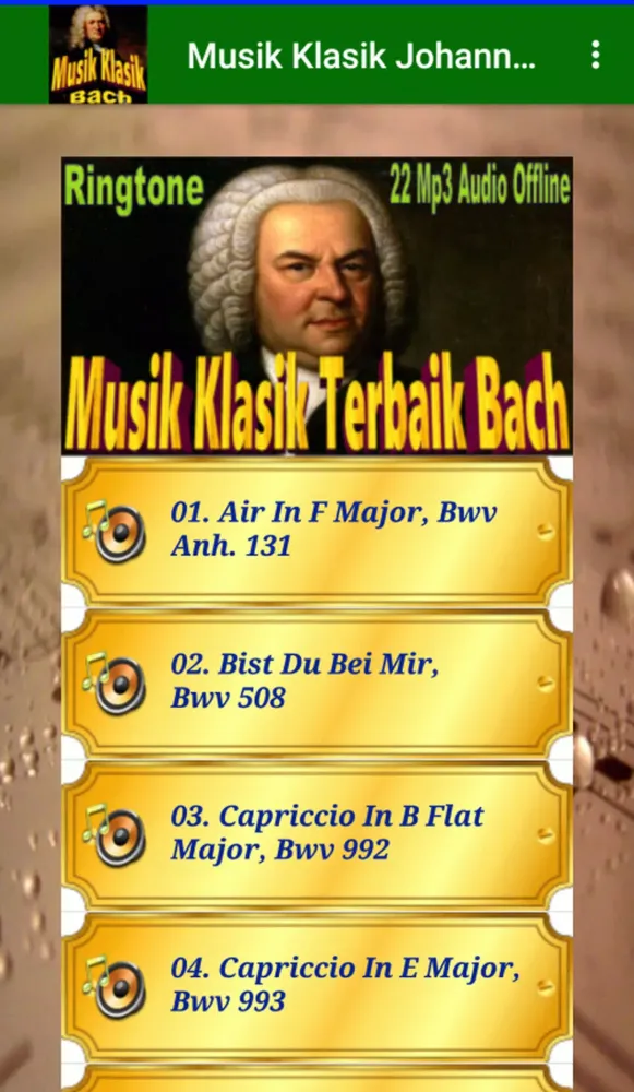 Musik Klasik Bach Offline Screenshots