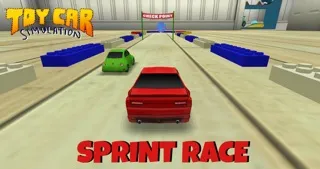 Toy Car Simulation 스크린샷