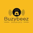 BuzyBeez Mini Cab