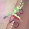Motorcycle Crash