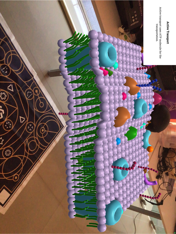Plant Cell Walkthrough iPad  Screenshots