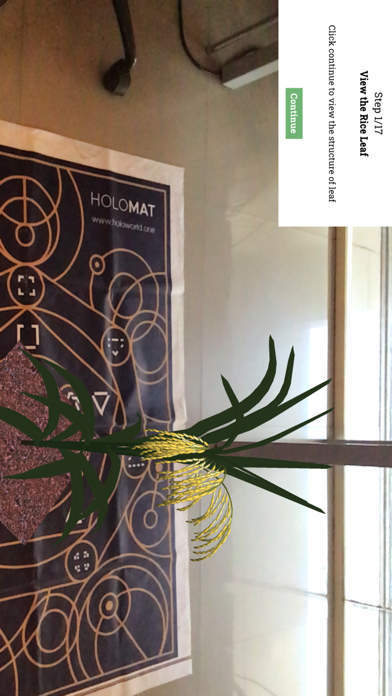 Plant Cell Walkthrough Screenshots