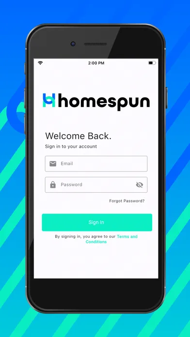 Screenshot di Homespun Digital