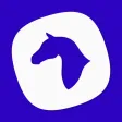 Horseful Horseful