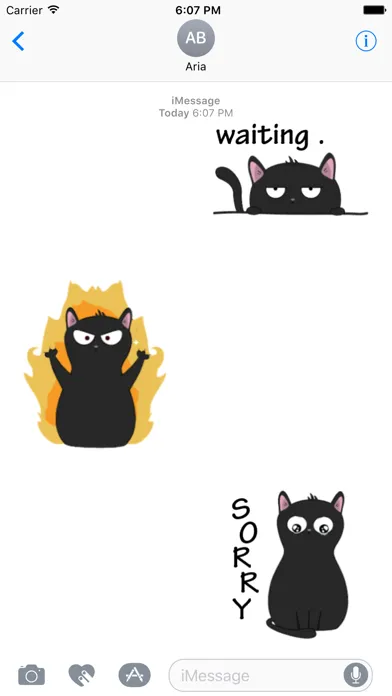 تصاویر Thirteen The Lovely Black Cat