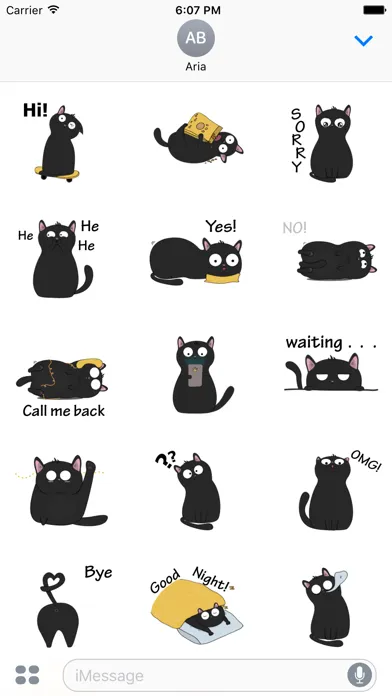 تصاویر Thirteen The Lovely Black Cat