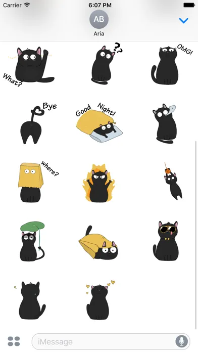 تصاویر Thirteen The Lovely Black Cat