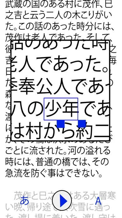 Magnifying Glass - En & Ja應用截圖