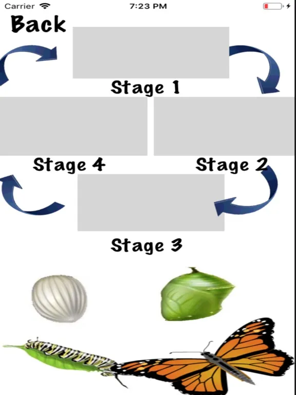 Скриншоты Life Cycle - Insects Arachnids iPad 