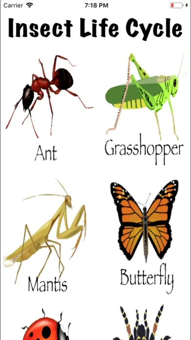 Скриншоты Life Cycle - Insects Arachnids