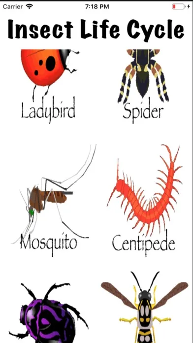 Скриншоты Life Cycle - Insects Arachnids
