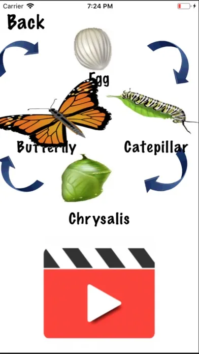 Скриншоты Life Cycle - Insects Arachnids