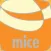 MiceVacations