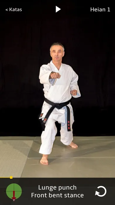Kata Shotokan スクリーンショット