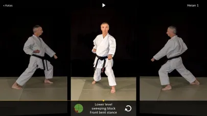 Kata Shotokan スクリーンショット