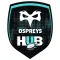 Ospreys HUB