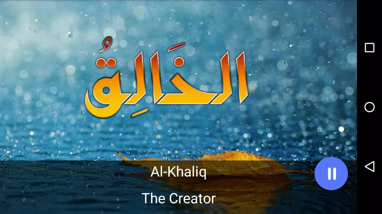 99 Names of Allah with Audio应用截图