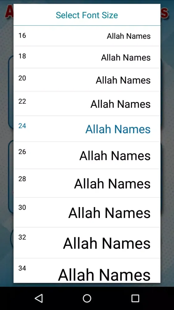 99 Names of Allah with Audio应用截图