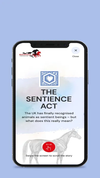 Redwings AR Timeline Screenshots