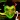 Smiling-X Resistance