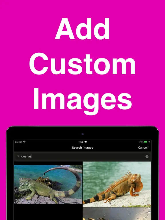 Tangkapan layar Flash Cards Maker - Flashcardy iPad 