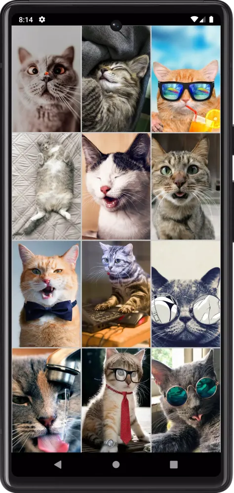 Funny Сats Wallpapers 스크린샷