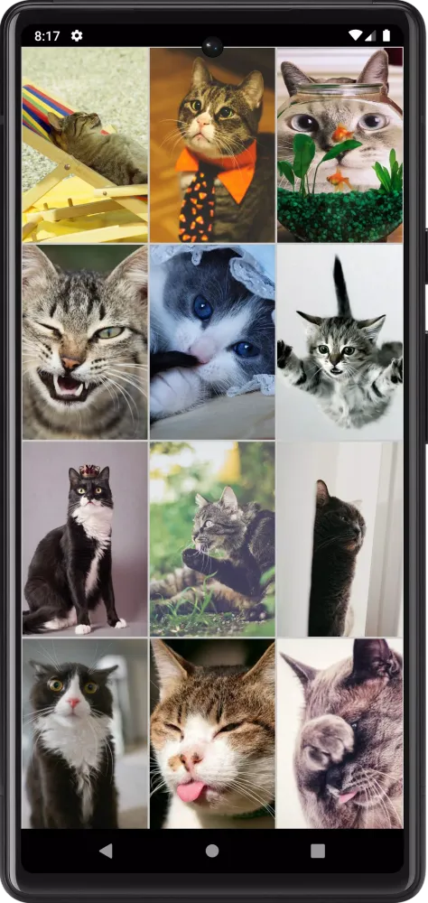 Funny Сats Wallpapers 스크린샷