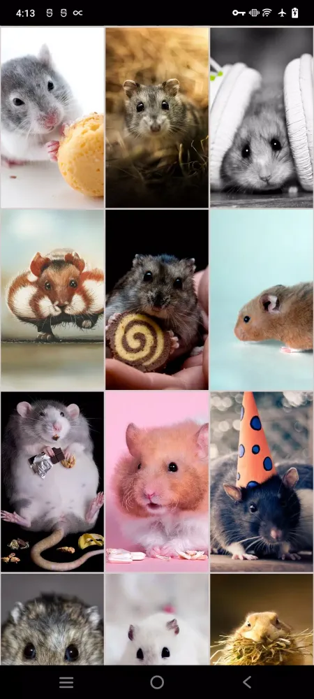 Скриншоты Hamster Wallpapers