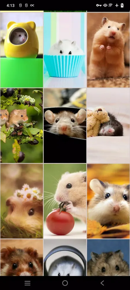 Скриншоты Hamster Wallpapers