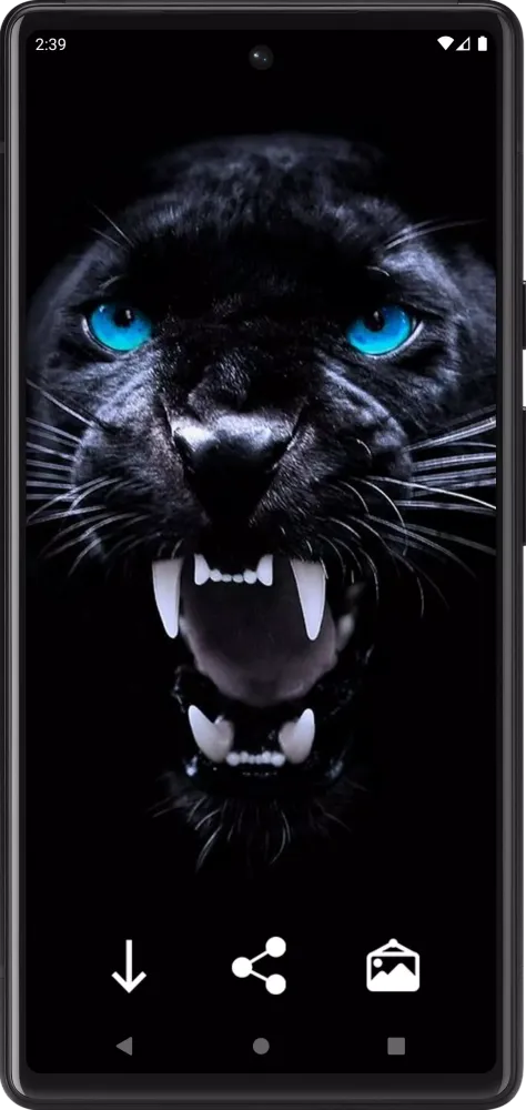 Panther Wallpapers Screenshots