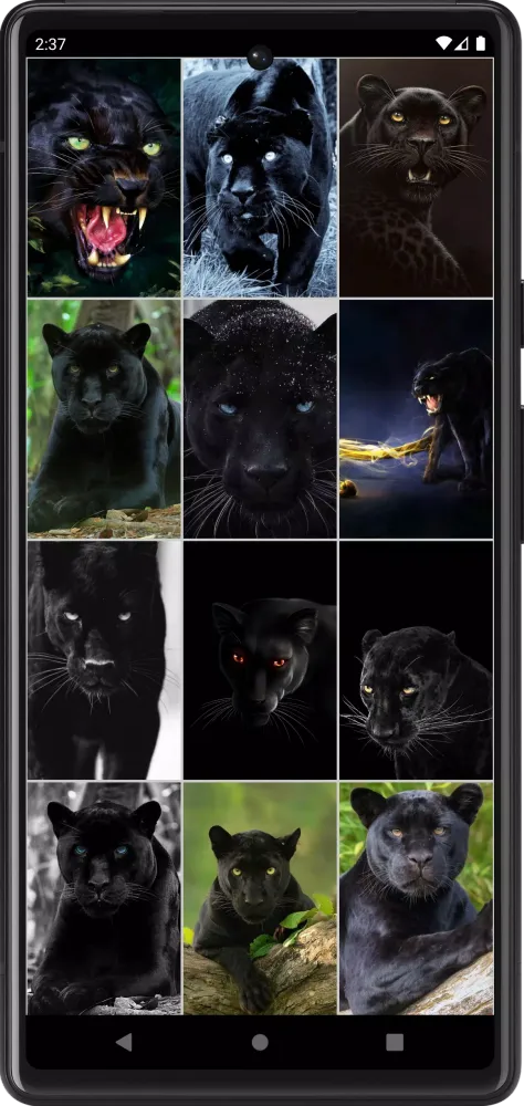 Panther Wallpapers Screenshots