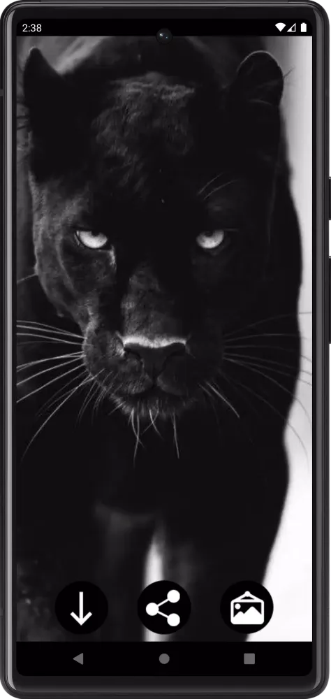 Panther Wallpapers Screenshots