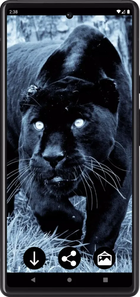 Panther Wallpapers Screenshots
