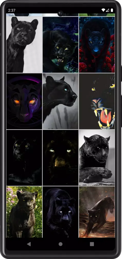 Panther Wallpapers Screenshots