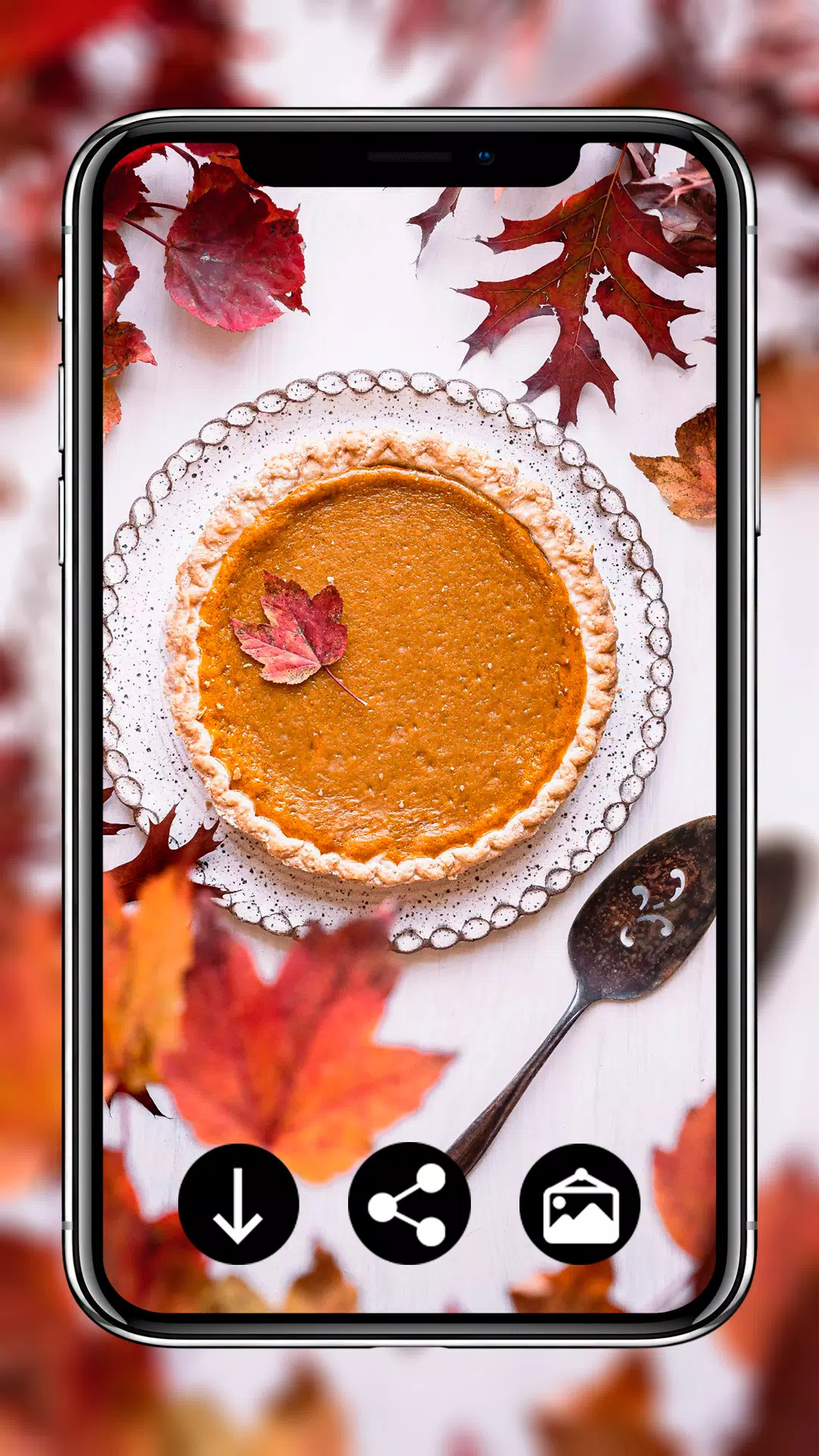 Thanksgiving Day Wallpapers Screenshots