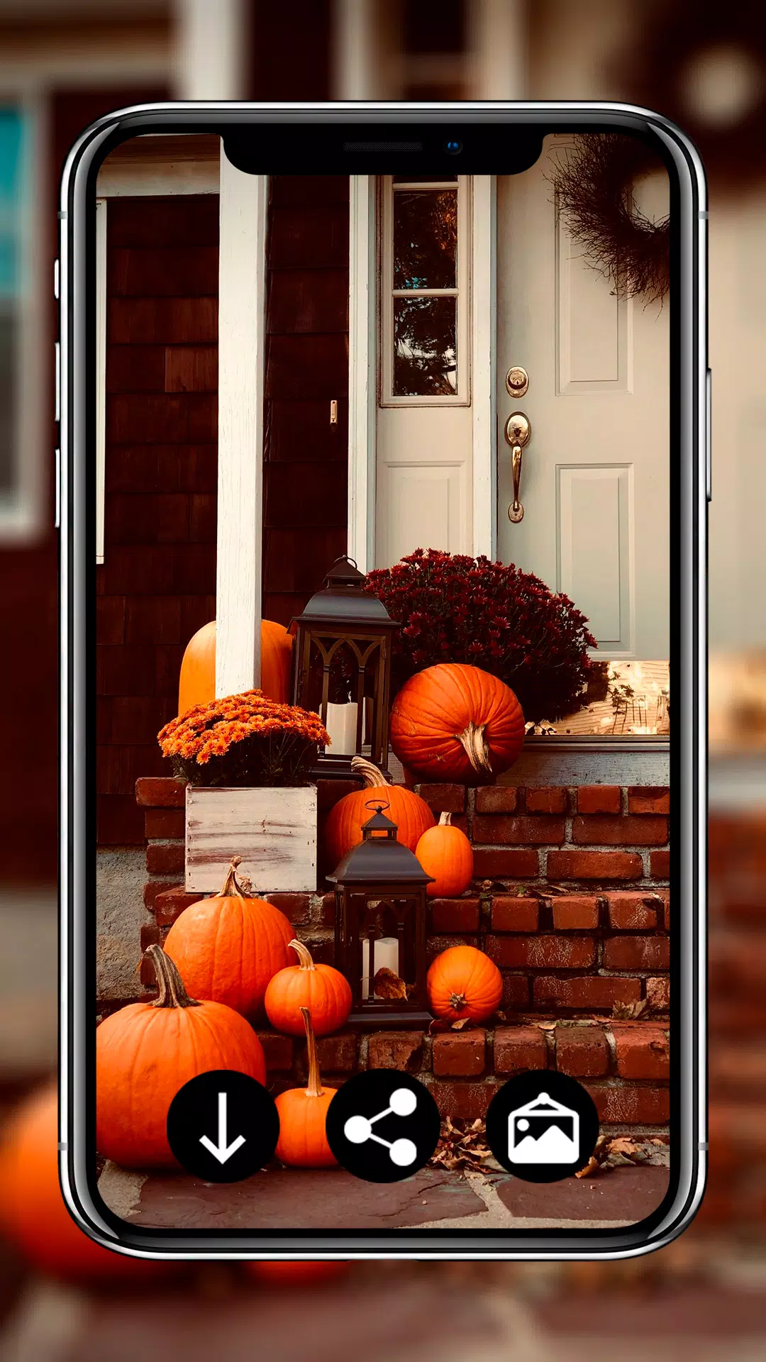 Thanksgiving Day Wallpapers Screenshots