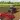 Farming Tractor game farm