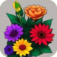 Flower Valley