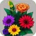 Flower Valley