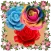 Rose Garden